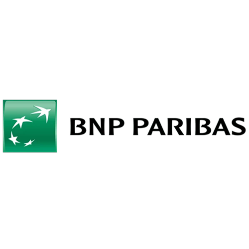 logo bnp