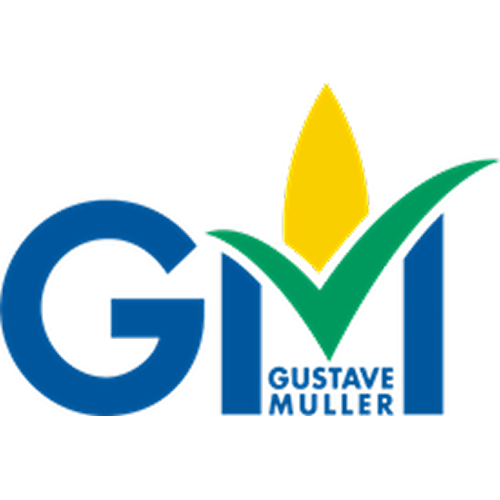 logo gm